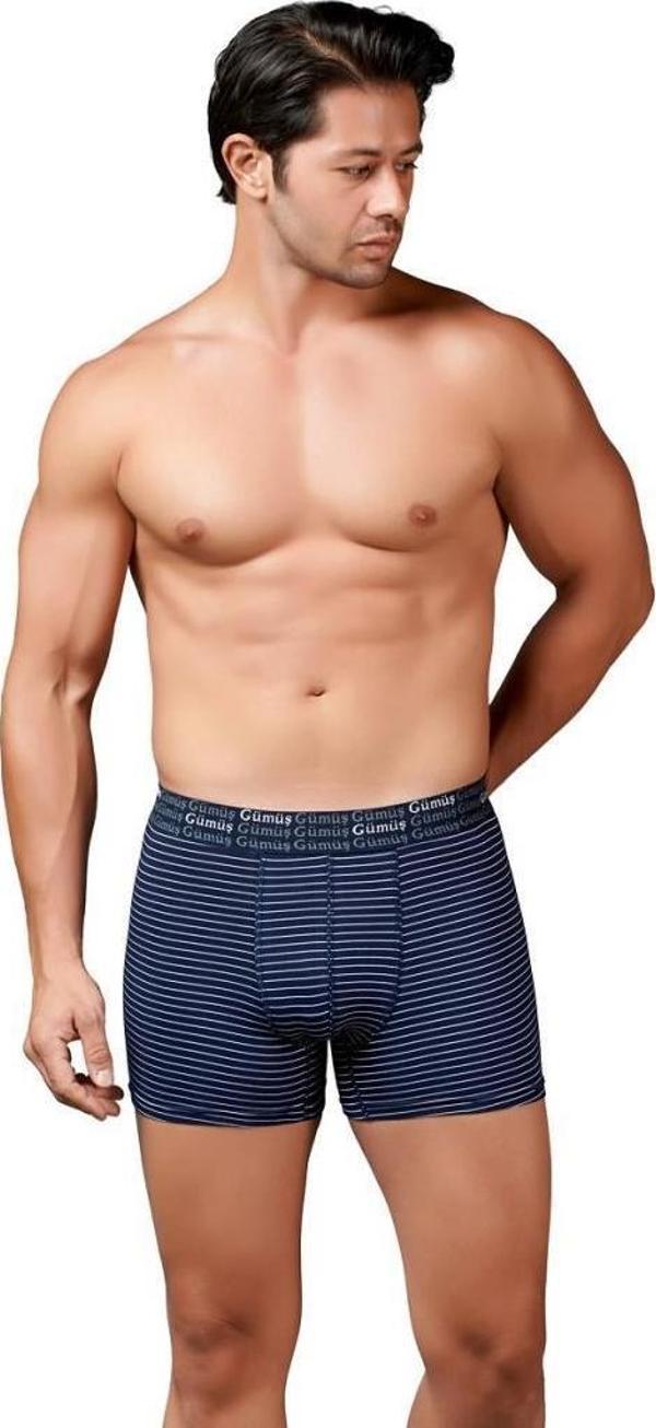 Gümüş Erkek Çizgili Likralı Spor Boxer 3114 - Image 1