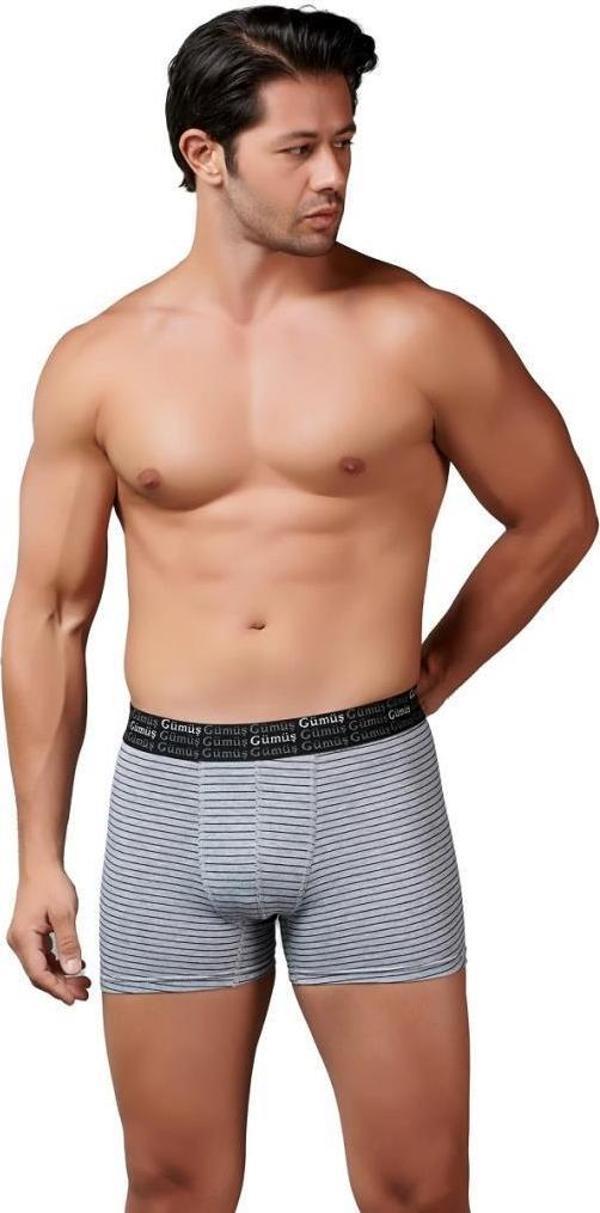 Gümüş Erkek Çizgili Likralı Spor Boxer 3114 - Image 1