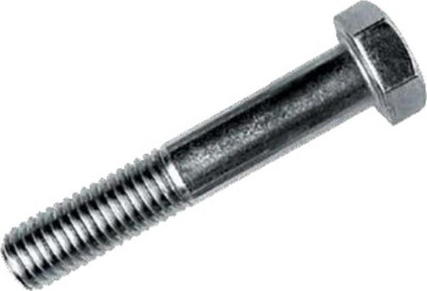 Ennalbur M16X140 Civata Beyaz Yarım Paso 2 Adet - Image 1