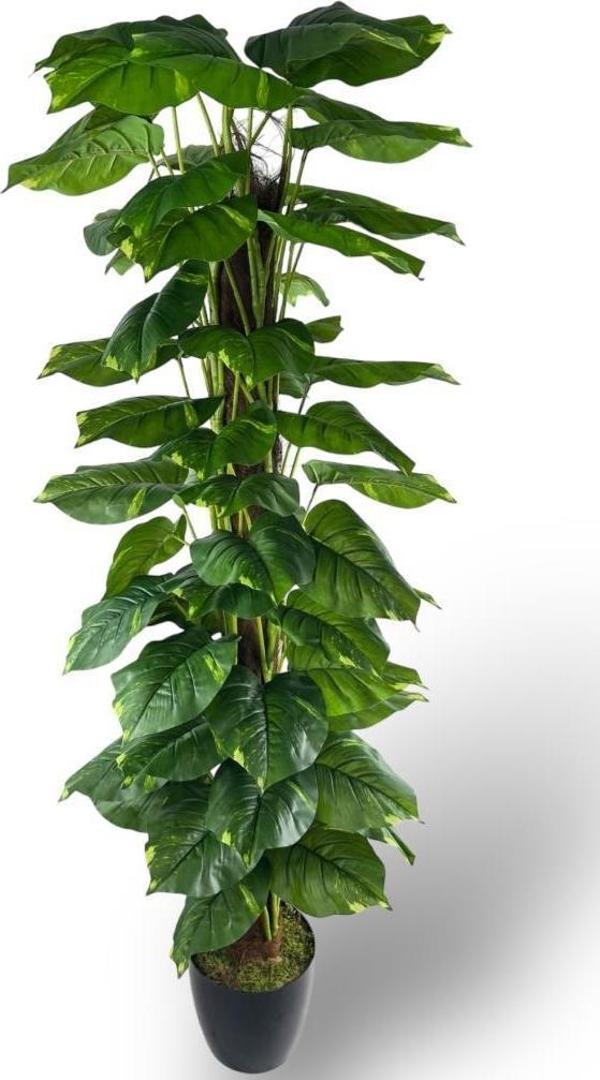 Yapay Çiçek Pothos Salon Sarmaşığı Tropik Salon Bitkisi Yapay Ağaç 165cm - Image 1