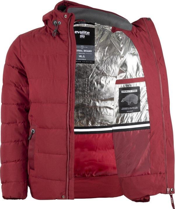 Evolite Vertex Bay Mont | Bordo - Image 1