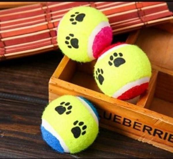 At Getir Köpek Eğitim Topu-Findit - Image 1