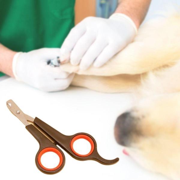 Küçük Çelik Uçlu Kedi Köpek Evcil Hayvan Tırnak Makası Pati Bakım Aleti Ergonomik Kaymaz Sap-Findit - Image 1