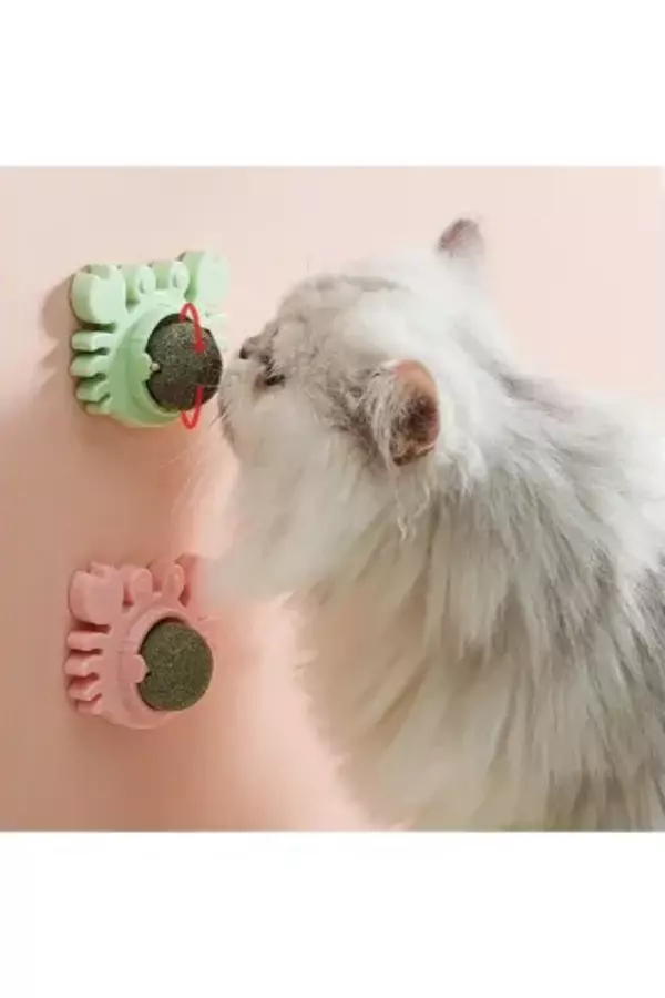 Yengeç Kedi Otu Oyun Topu - Image 1