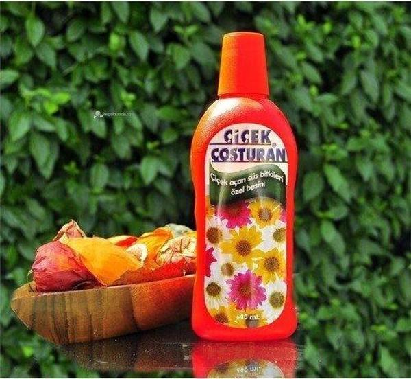 Çiçek Coşturan Çiçek Açan Süs Bitkileri İçin - Image 1