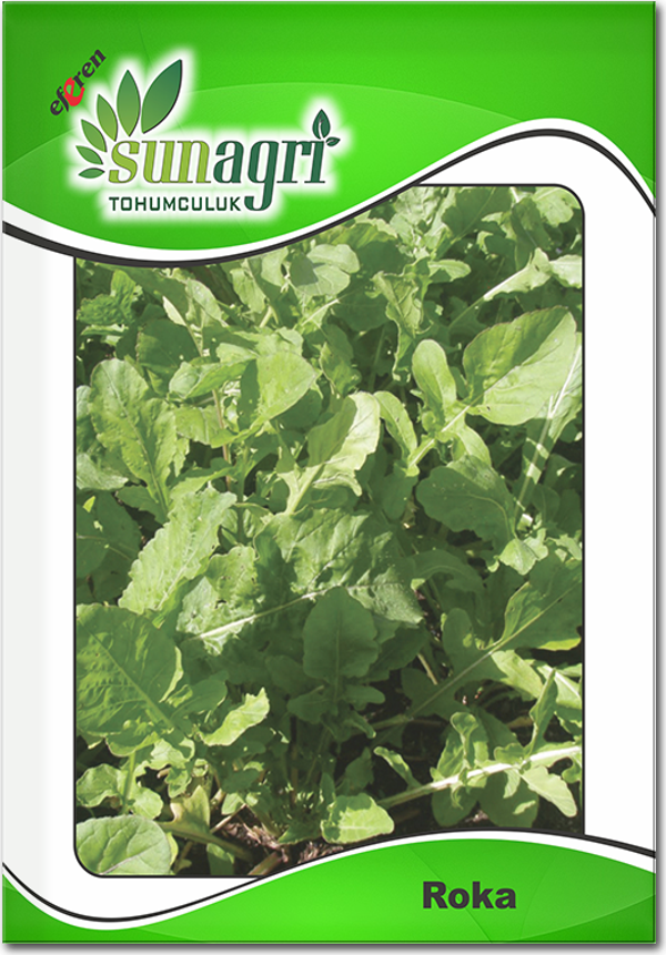 ByKurt Sunagri Roka Tohumu 10 Gr - Aromalı Koyu Yeşil Yapraklı Taze Tüketim İçin İdeal - Image 1