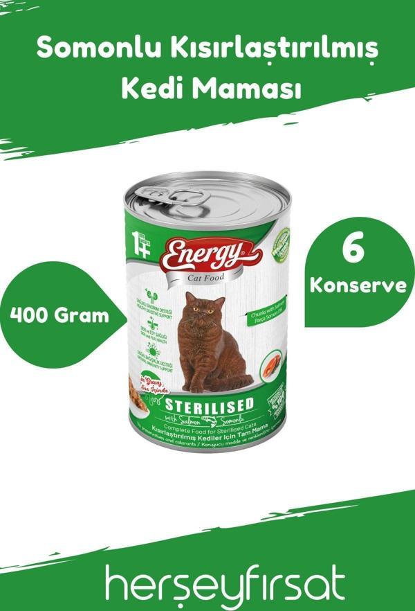 Energy Somonlu Kısırlaştırılmış Kedi Maması-400 Gram-6 Konserve - Image 1