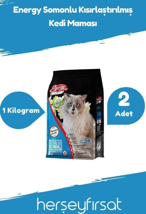 Energy Somonlu Yetişkin Kedi Maması 1 Kilogram-2 Adet - Image 1