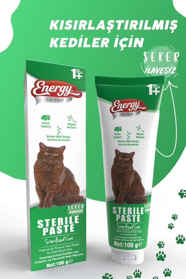 Energy Sterile Paste 100Gr Kısırlaştırılmış Kediler İçin Yüksek İçerikli Multivitaminli Malt Macun - Image 1