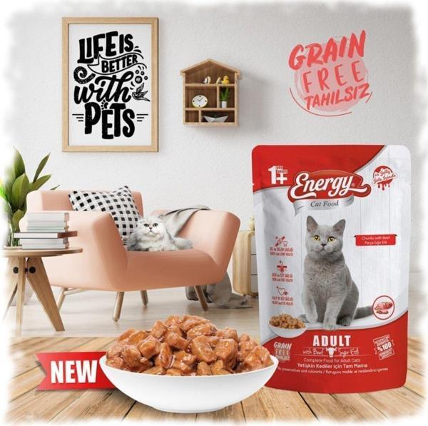 Energy Sığır Etli Kedi Maması Jöleli 85 Gr X 24 Adet - Image 1