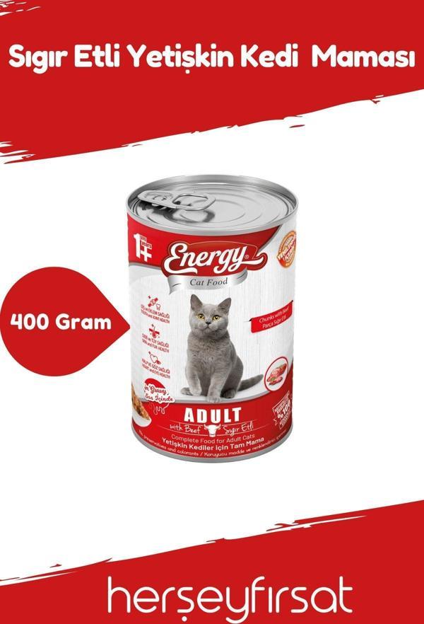 Energy Sığır Etli Yetişkin Kedi Maması-400 Gram - Image 1
