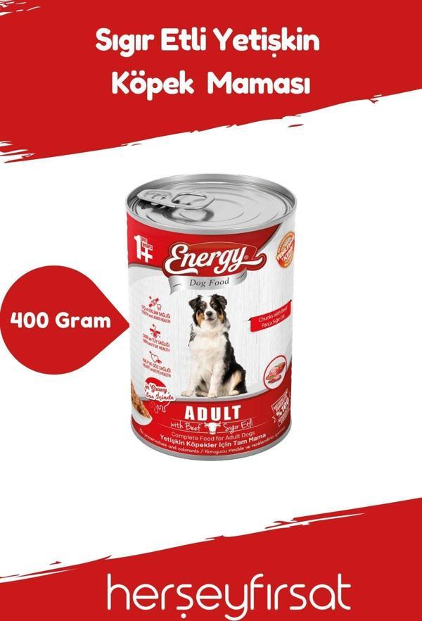 Energy Sığır Etli Yetişkin Köpek Maması-400 Gram - Image 1