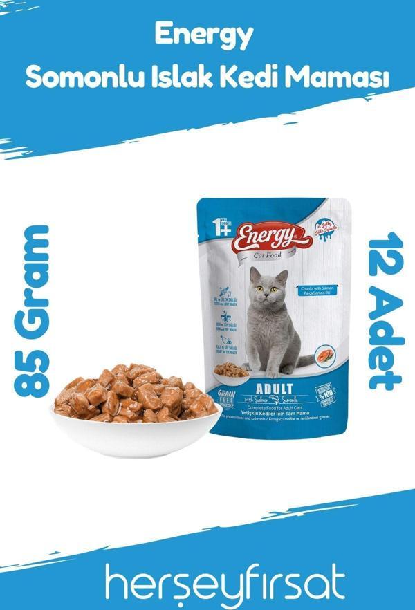 Energy Somonlu Islak Kedi Maması 85 Gram-12 Adet - Image 1