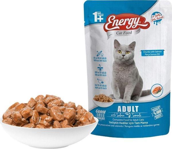 Energy Somonlu Islak Kedi Maması 85 Gram-6 Adet - Image 1