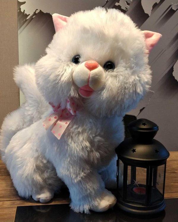 Halley Peluş Oyuncak Oturan Tombul Sevimli Peluş Kedi 45Cm - Image 1