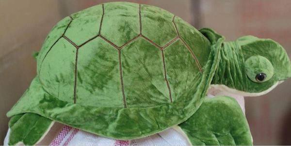 Paşa Hs13024 55 Cm Kablumbağa - Image 1