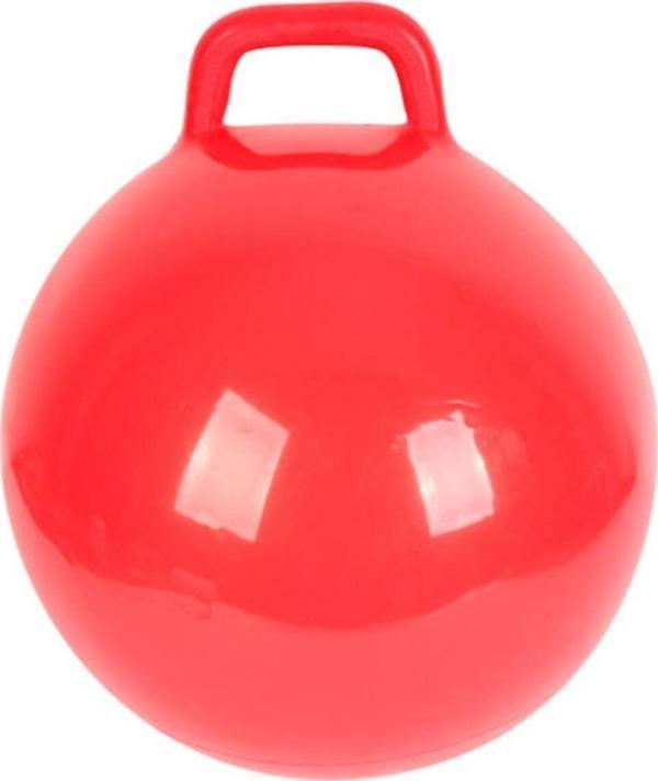 Efe Toys Çocuk Zıp Zıp Top Pilates Topu - Image 1