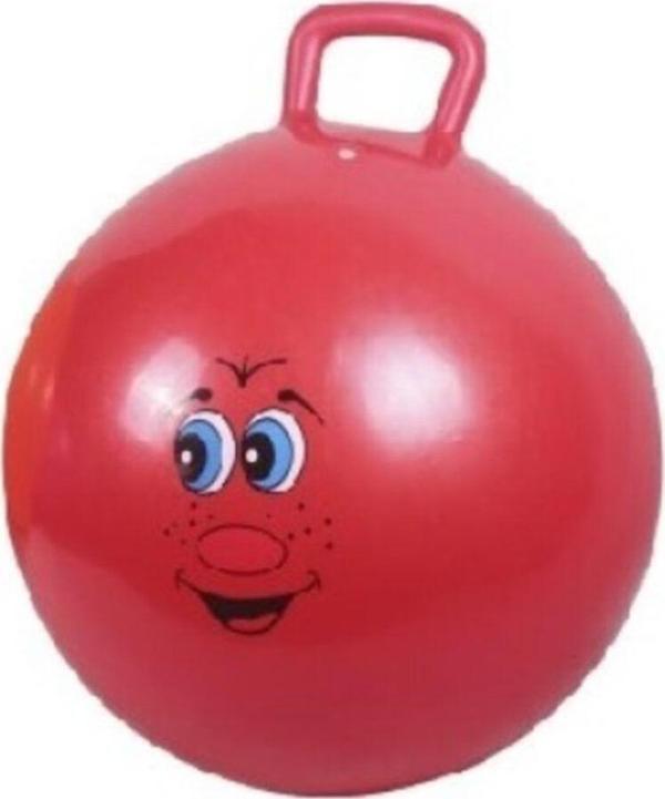 Efe Toys Zıp Zıp Top Çocuk Pilates Topu 90 Kg Taşıma Ve Pompa - Image 1