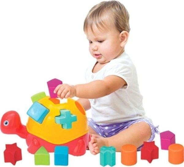 Toprockstore Eğitici Kaplumbağa Bultak - Image 1