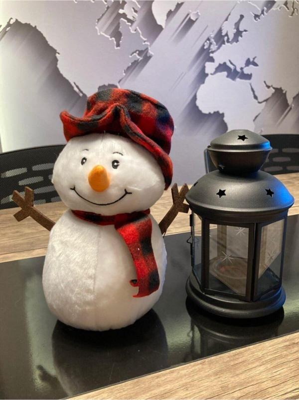 Toprockstore Kardan Adam Peluş Oyuncak 25Cm - Image 1