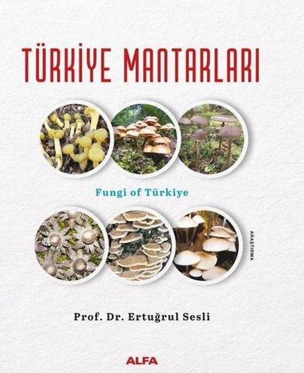 Türkiye Mantarları - Fungi of Türkiye - Alfa Yayıncılık - Image 1