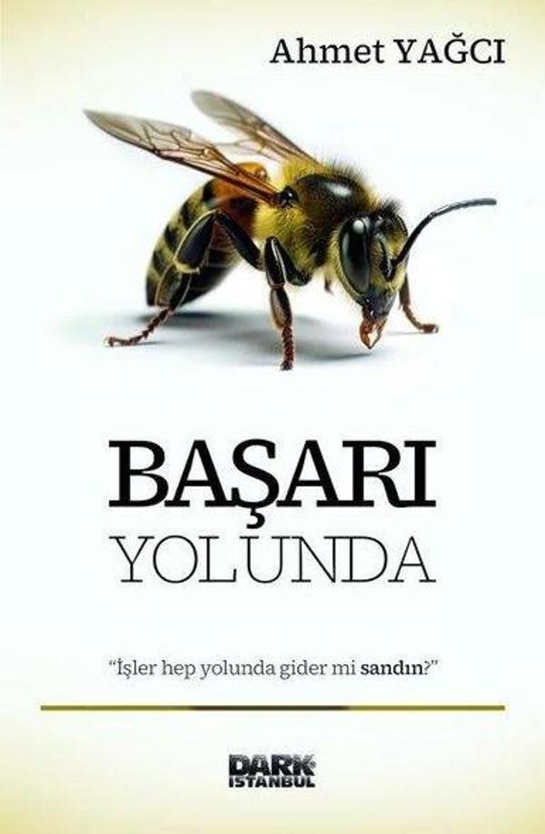 Başarı Yolunda - Dark İstanbul - Image 1