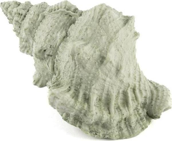 Mikasa Moor Deniz Salyangozu 17x12x10cm - Image 1