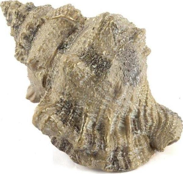 Mikasa Moor Deniz Salyangozu 17x12x10cm - Image 1