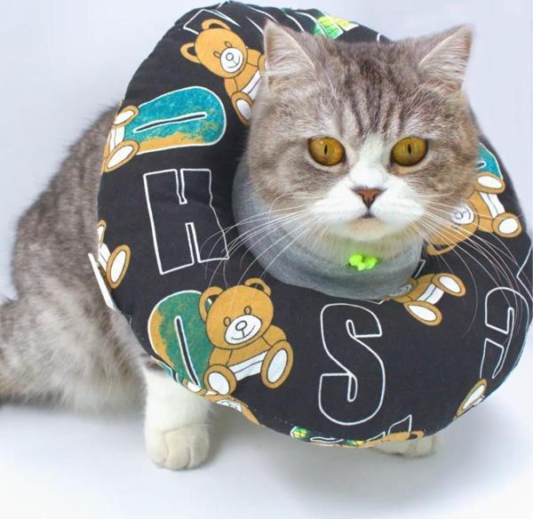 Lepus Kedi Köpek Yakalık Ayı Figürlü Small No:2 - Image 1