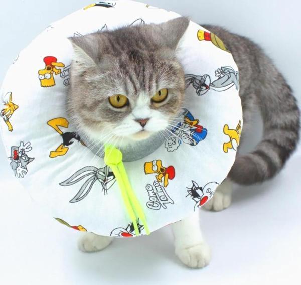 Lepus Kedi Köpek Yakalık Tavşan Figürlü Small No:3 - Image 1