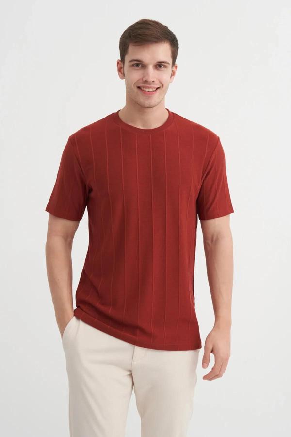 Cazador Regular Fit Bisiklet Yaka İnce Çizgili tişört - Image 1