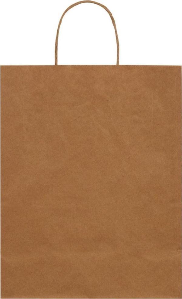 Packanya 20X10X22-500 Adet Burgu Saplı Kraft Çanta - Image 1