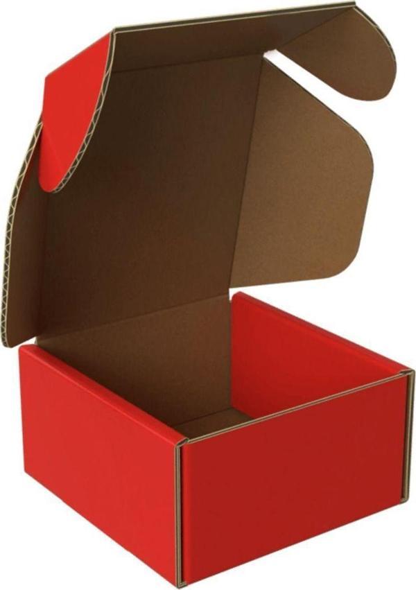 Packanya 8X8X4 - 50 Adet Kırmızı Kilitli E Ticaret Karton Kargo Kutusu - Image 1