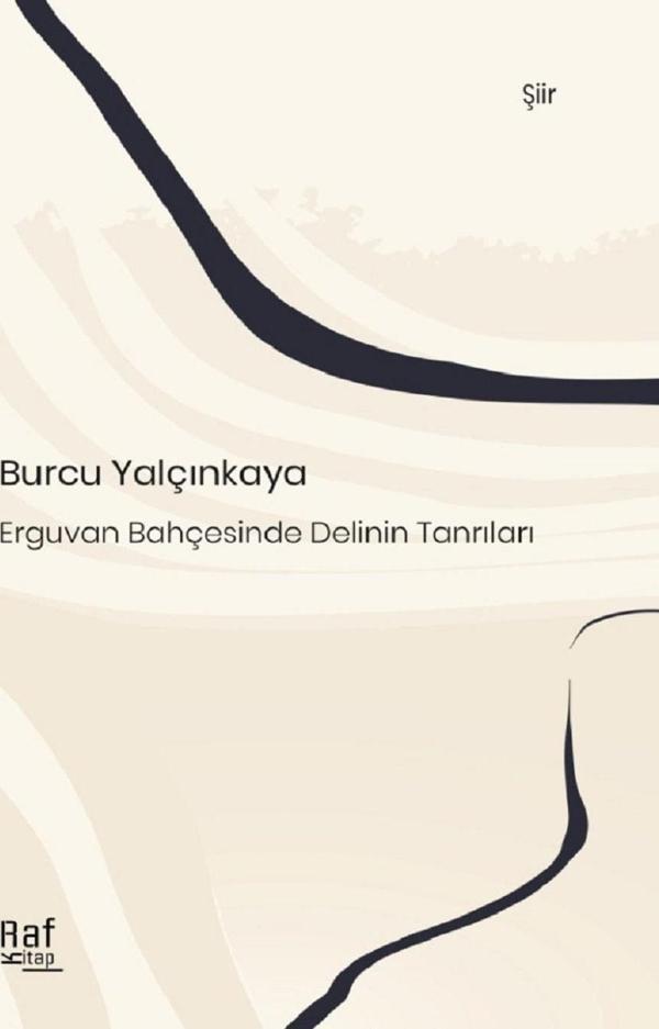 Erguvan Bahçesinde Delinin Tanrıları - Pikaresk Yayınevi - Image 1