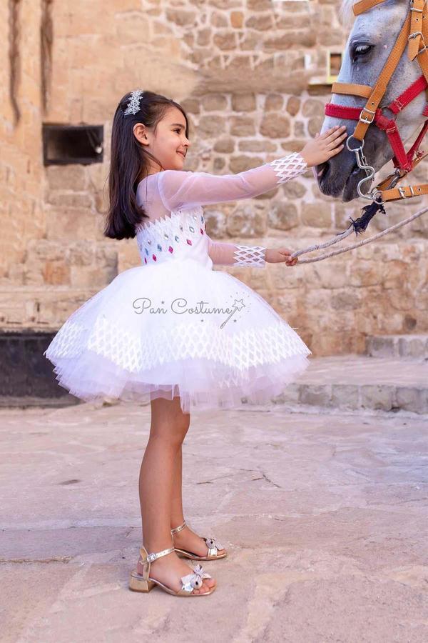 Elsa Elbisesi Mini - Image 1