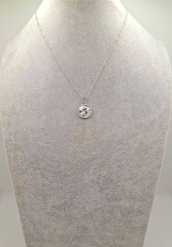 Han Ticarethane Gümüş Renk İkili Yunus Model Çelik Kolye - Image 1