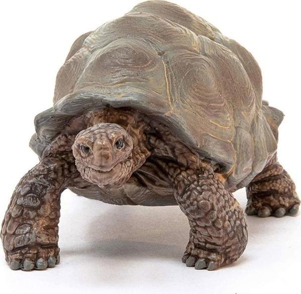 Schleich Dev Tosbağa 14824 - Image 1