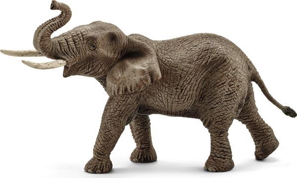 Schleich Afrika Fili Dişi - Image 1