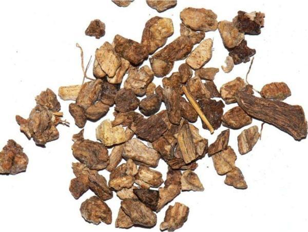 Aktar Store Andız Kökü 50 Gr - Image 1