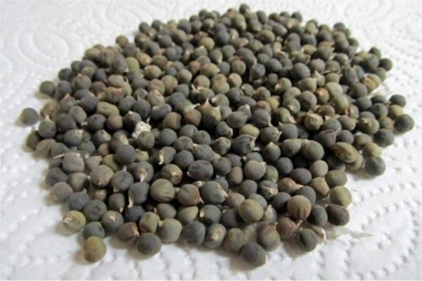 Do Doğal Yaşam Ürünleri Bamya Tohumu 100 Gr - Image 1