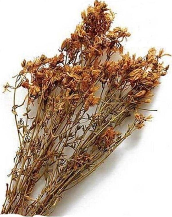 Pavrika Sarı Kantaron 100Gr - Image 1