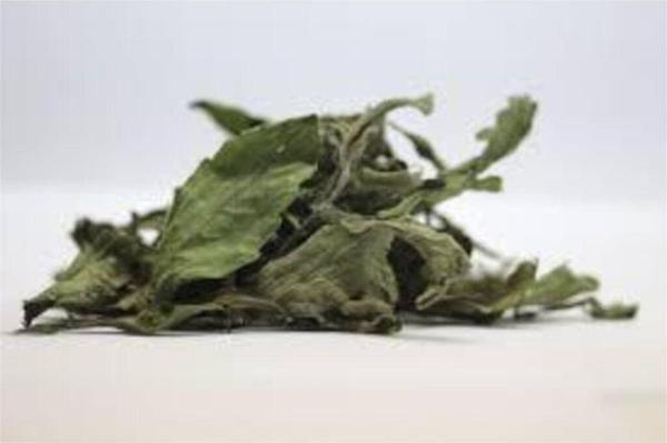 Pavrika Stevia 50Gr - Image 1