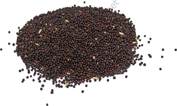 Pavrika Şalgam Tohumu 50 Gr - Image 1