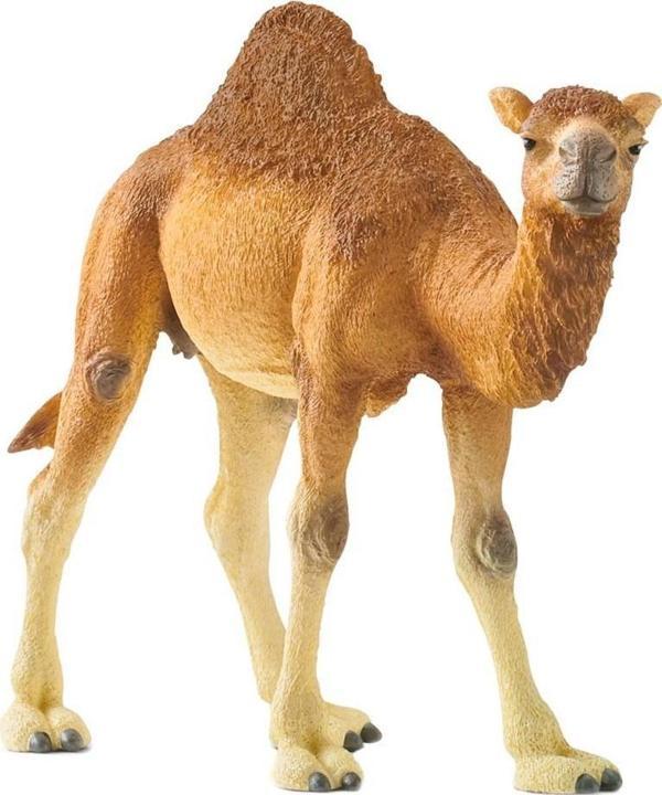 Schleich Wild Life Figür Hörgüçlü Deve CWL14832 - Image 1