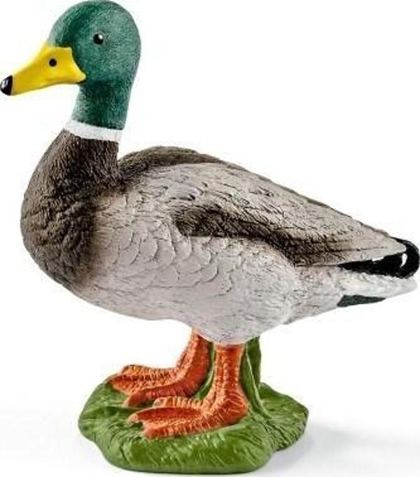 Schleich Ffa Pato / Drake 13824 - Image 1