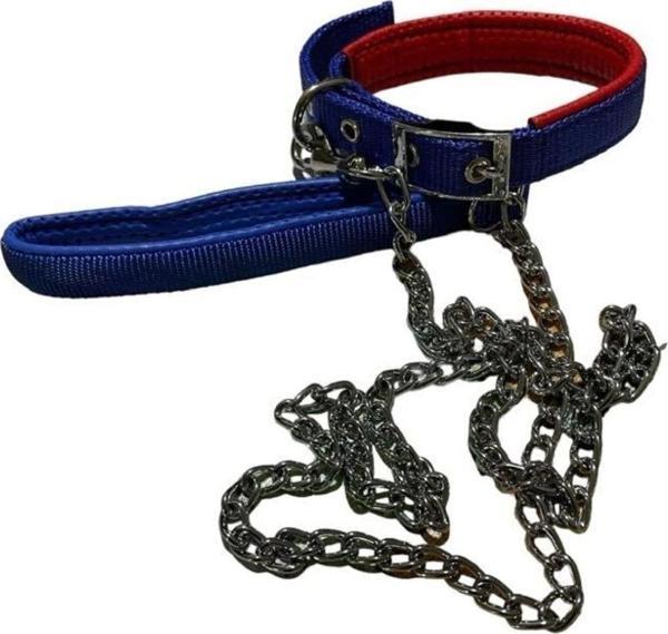 Köpek Gezdirme Tasma Kayışı Ayarlanabilir Köpek Boyun Tasması Küçük Orta Ve Büyük Irk Için Uygundur - Image 1