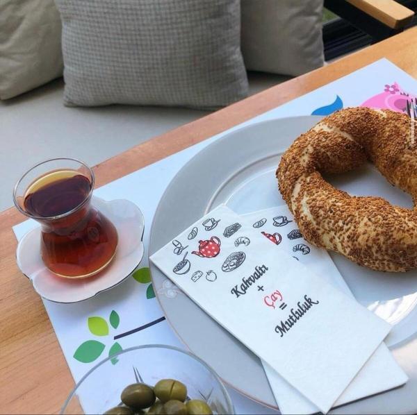 Türkiyem Organik Ürünler 100 Lü Sunum Peçetesi Baskılı Konuşan Kağıt Peçete Çift Katli 33X33 Cm - Image 1