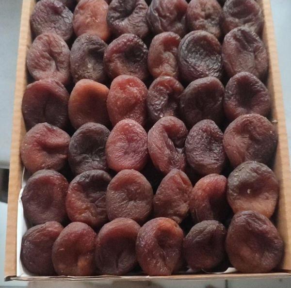 Türkiyem Organik Ürünler Günkurusu Kayısı Orta Boy 1 Kg - Image 1