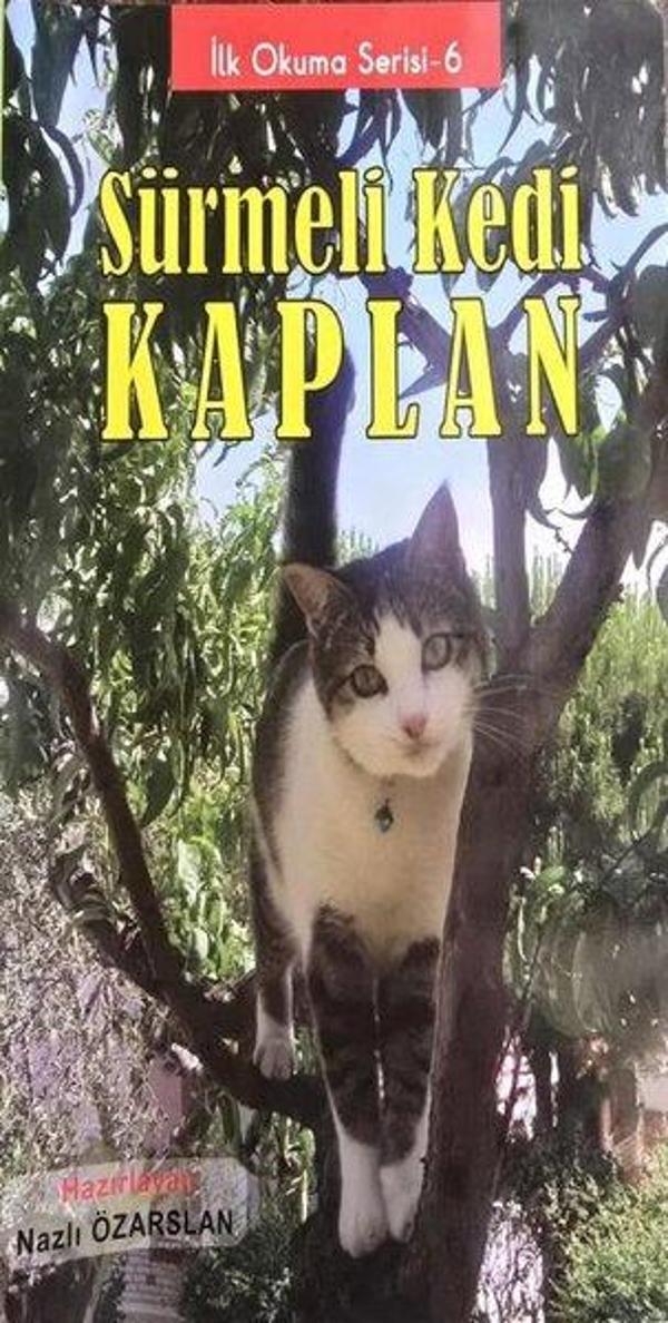 Sürmeli Kedi Kaplan - İlk Okuma Serisi 6 - Kalem Lugat Yayıncılık - Image 1