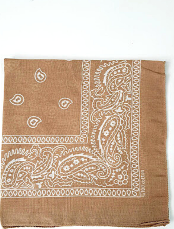 ŞAL DESENLİ BANDANA NUDE - Image 1